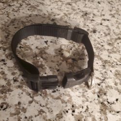Dog Collar Nylon