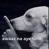 Jose
