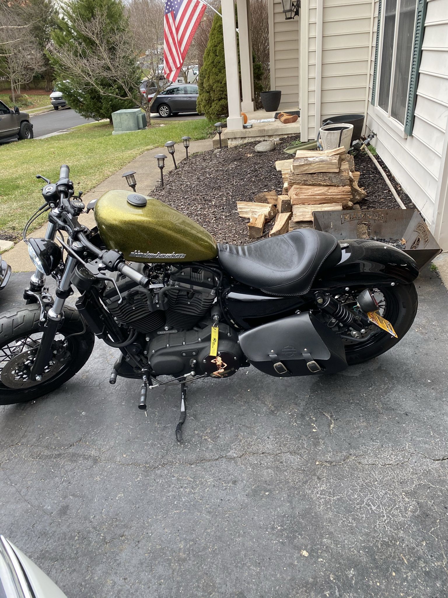 2015 Harley Forty-Eight