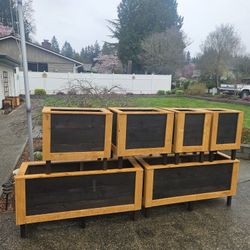 Planter Boxes  Starting At 40 Dollars 