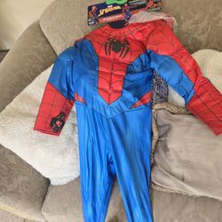 Spider Man Disfra