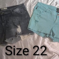 Women's Size 22 Shorts Bundle