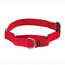 PetSafe Martingale Dog Collar Quick- Snap Buckle 1 Inch Width Large Red