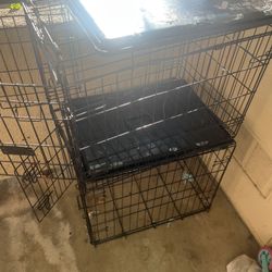 Dog Cages 