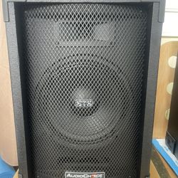 Audio Choice SoundTech Power Handling Speaker System, Model C100, Set Of Two 
