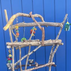 Large Parrot / Macaw Perch Tree…. Thick And Curvy .,, A Great Hangout Spot !! 👍🏼
