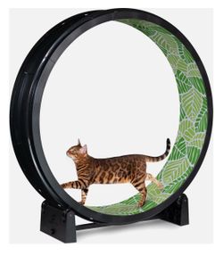 One Fast Cat Gen 7 Cat Exercise Wheel, Black with Jungle Leaves Foam Pads