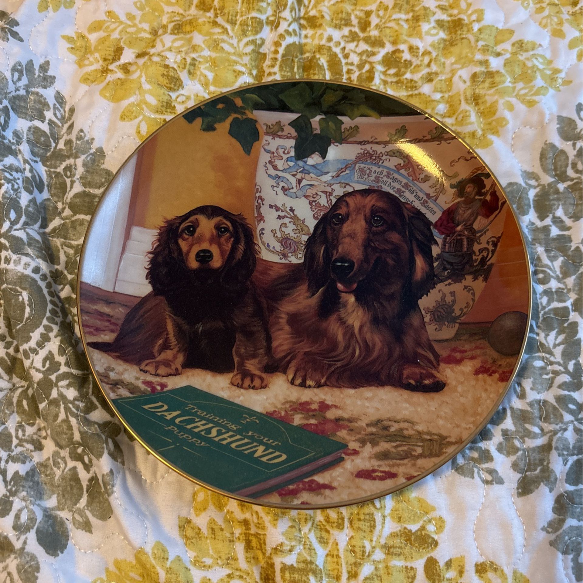 Danbury Mint ; Art By Christopher Nick Limited Edition “Dachshunds Collection “ Dachshund China Plate “Come Here?”