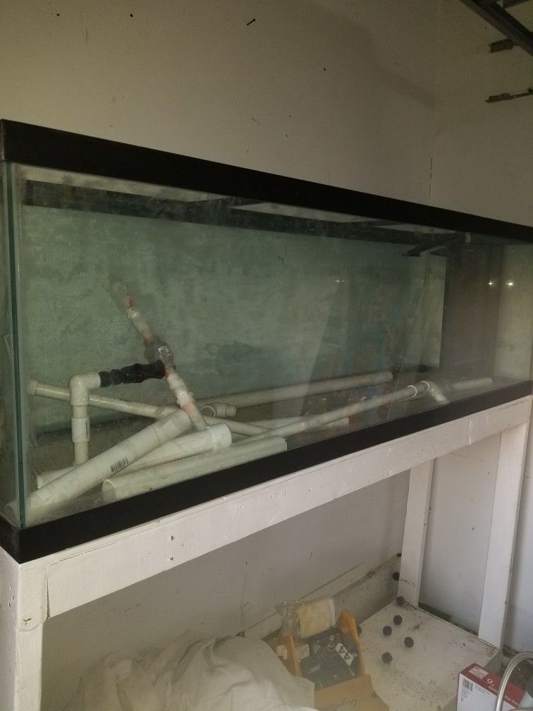 300 Gallon Salt Water Fish tank, In Excellent condition 