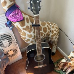 Guitar (Capo Included)