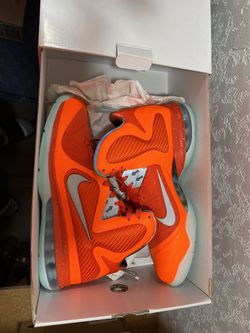 NIKE LEBRON IX