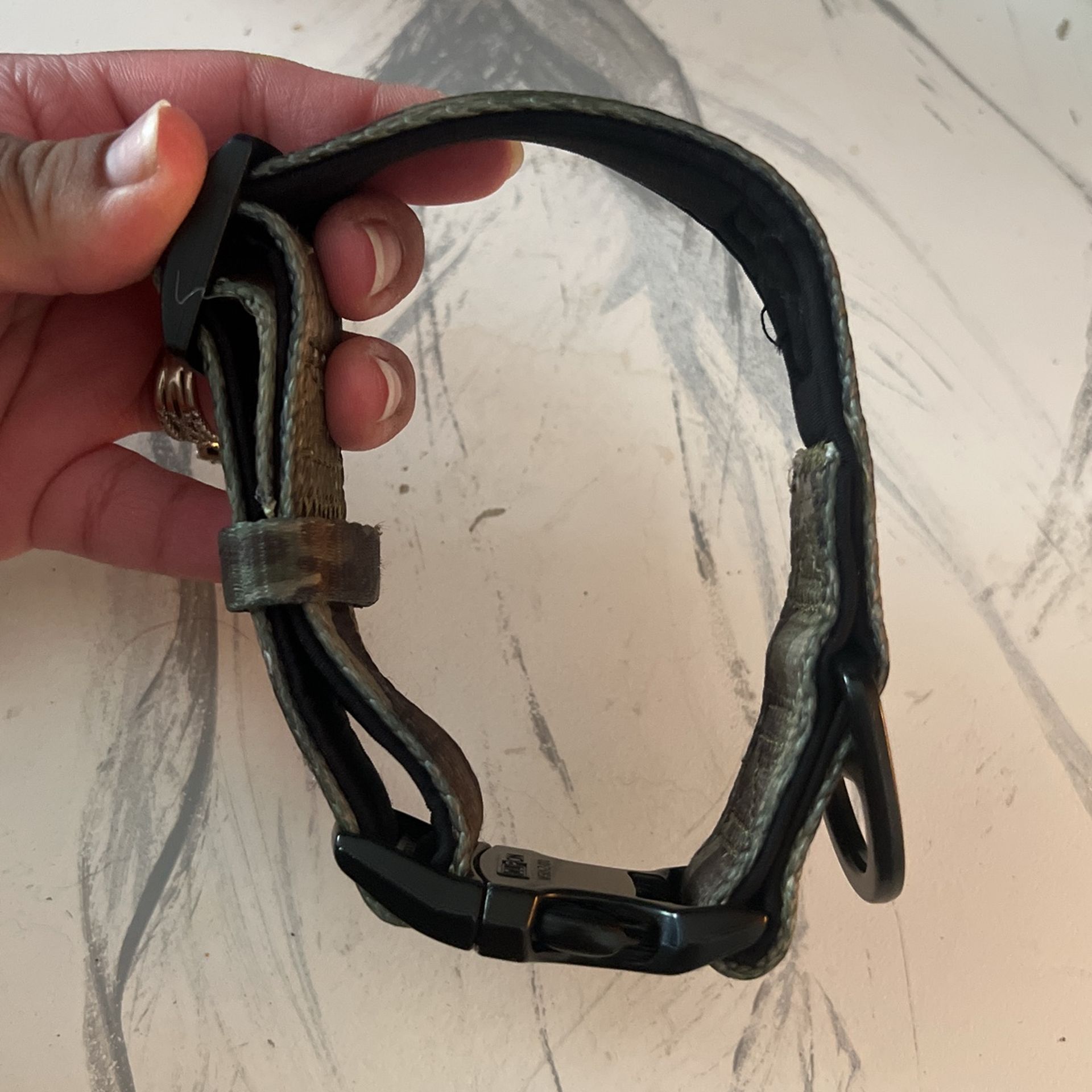 Kong Dog Collar