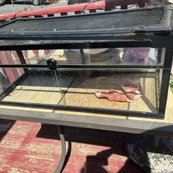 20 Gallon front Open Reptile Tank