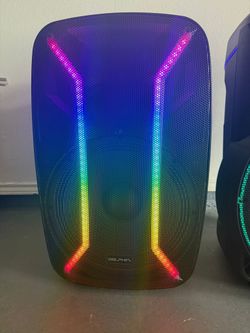 15’’ Dolphin Speaker 