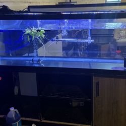 125 Gallon Aquarium + Entire Set Up 