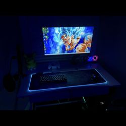 Gaming Monitor 240 Hertz 