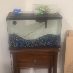 Fish Tank