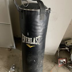 Everlast Punching Bag