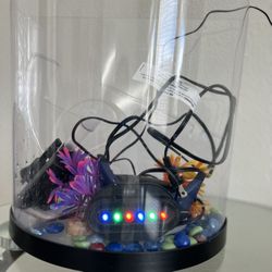 3 Gallons Aquarium With Filter , Decorations & Rainbow Lights