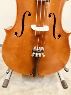 Violin, Viola, Cello, Bass Lessons!