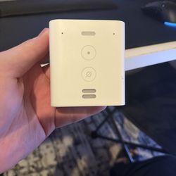 Amazon echo flex