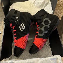 Wrestling Shoes 