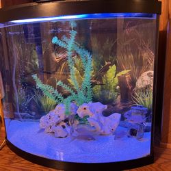 Fish Tank