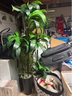 Artificial tree from home depot
