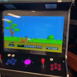 2 Player Arcade With Light Guns 