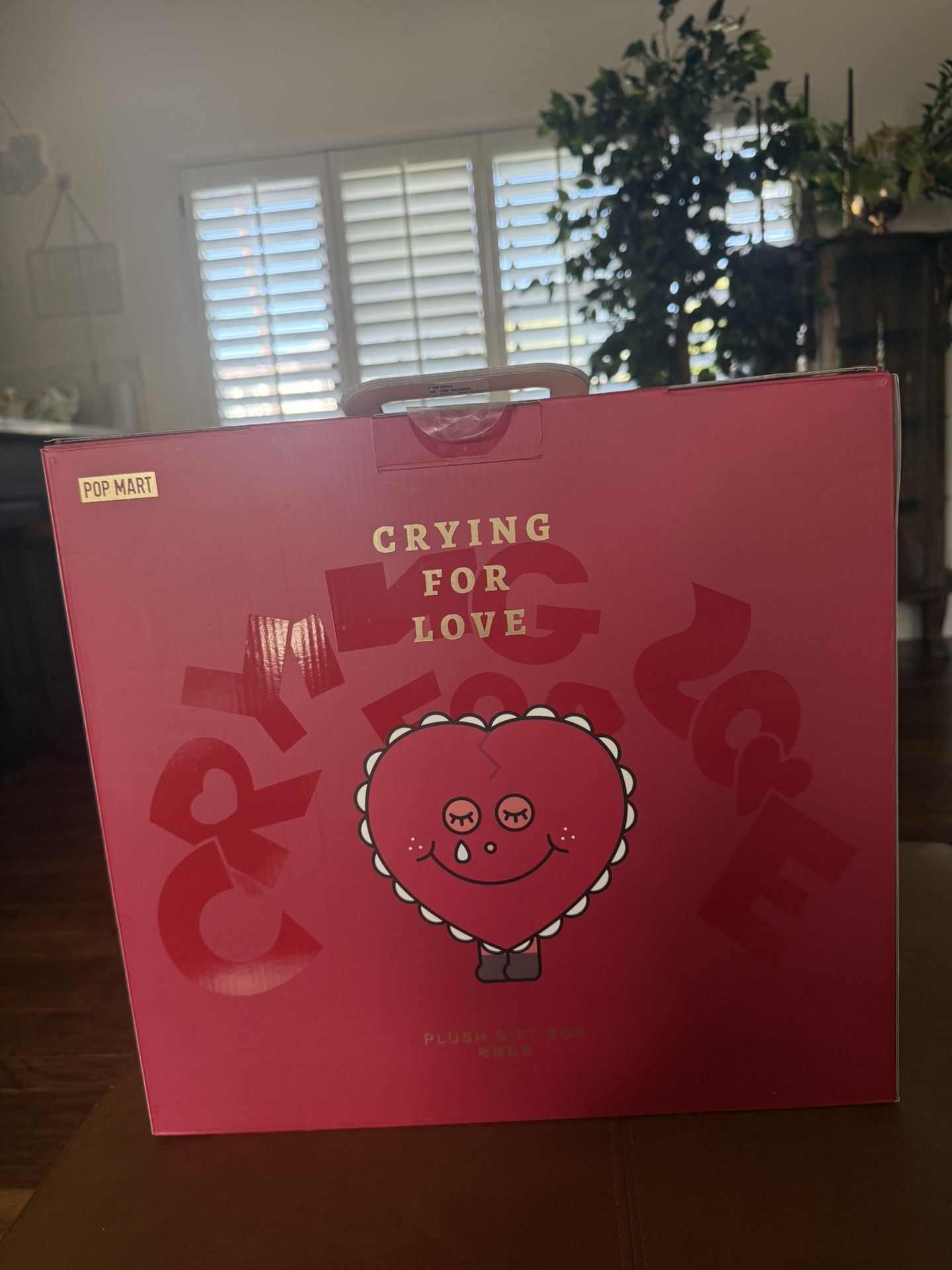 Crying For Love 