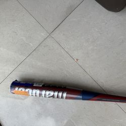 Baseball Bat