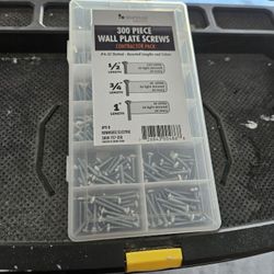 Wall Plate Screws