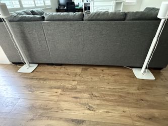 Living Spaces couches