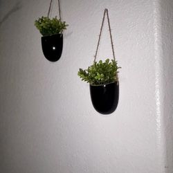Plant Decor