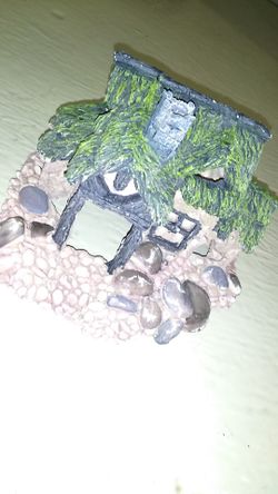 Fish decor