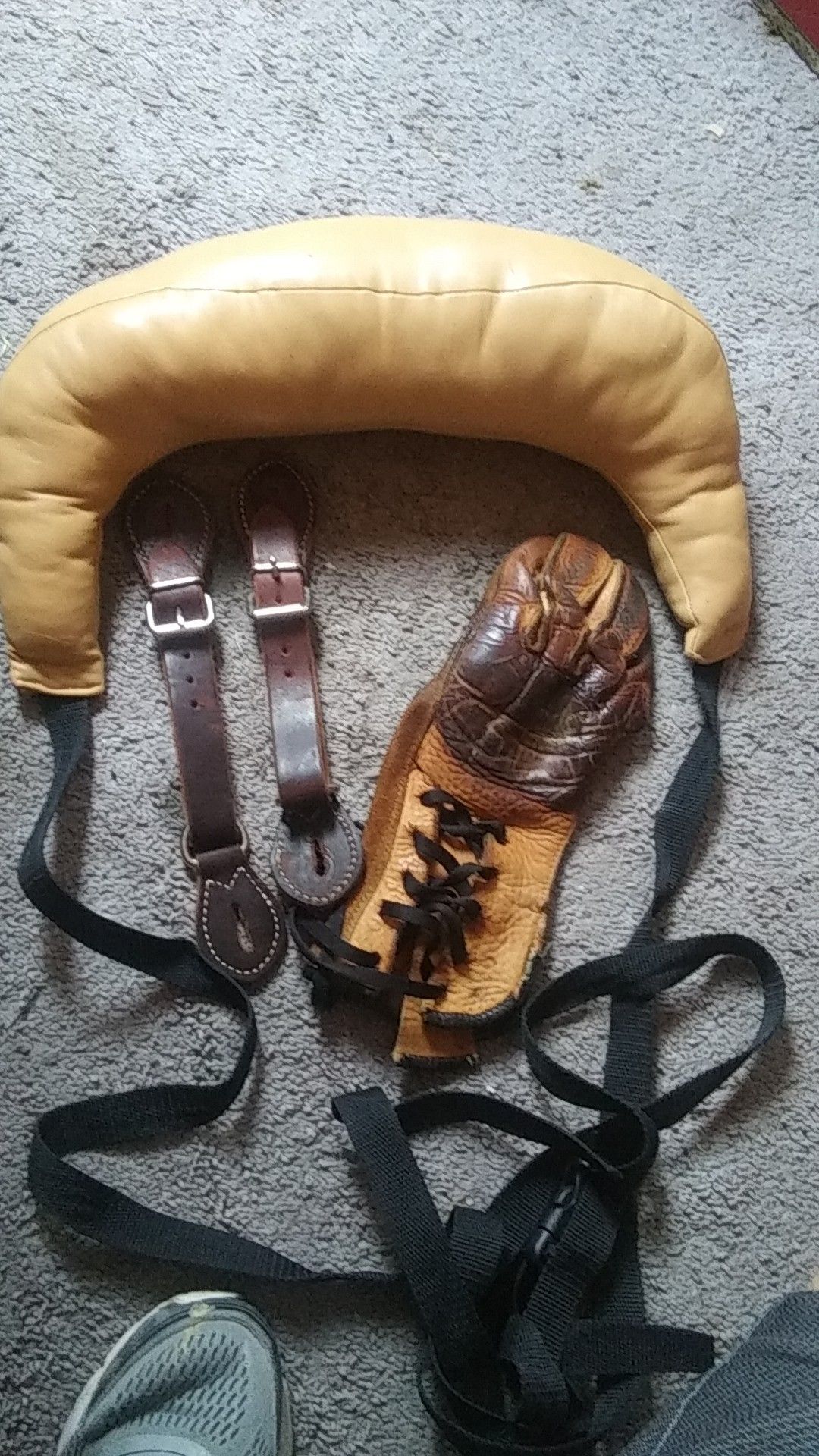 Bareback bronc riding gear