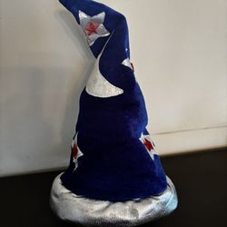 Wizard Hat, Headpiece, Headwear, Costume