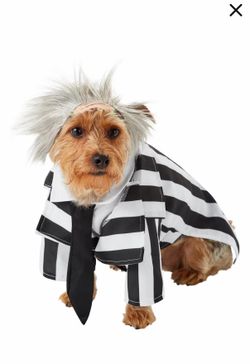 Beetlejuice Dog Costume, Large