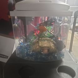 Starter Aquarium 