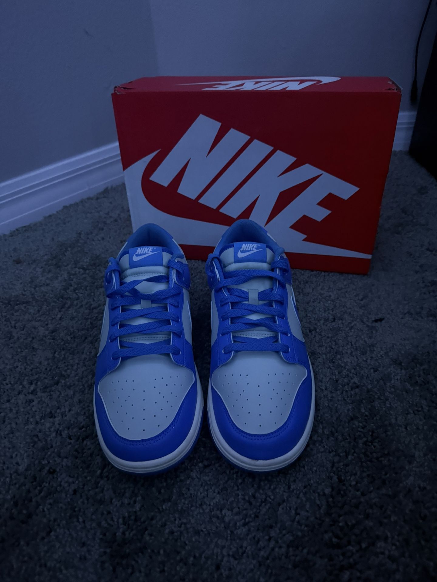 Nike dunks 