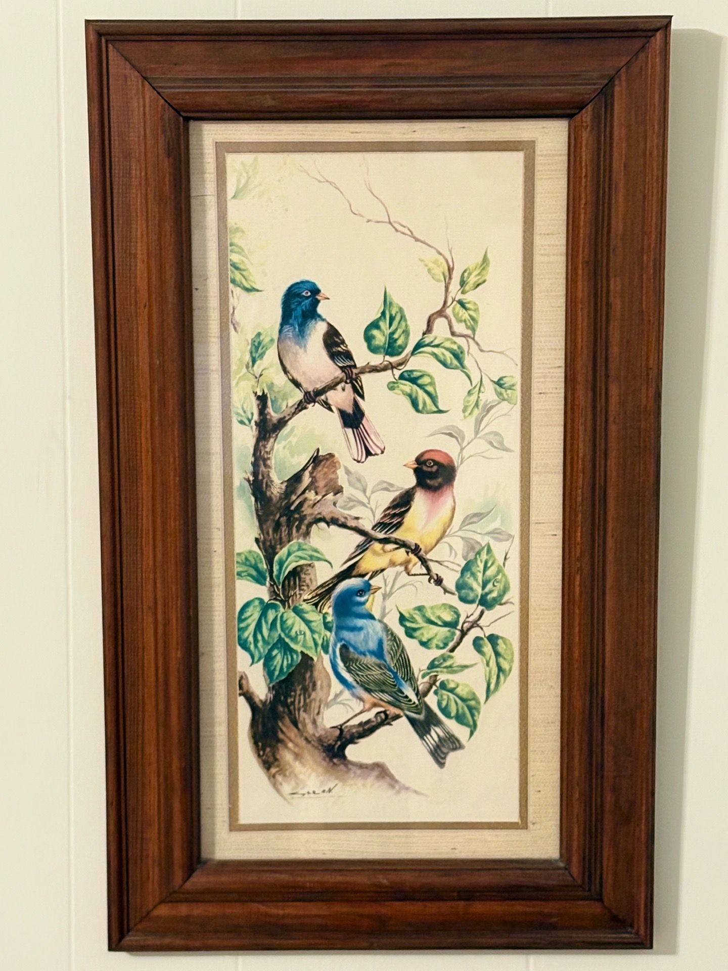 Vintage Framed Bird Art - "Grean" Nature Study