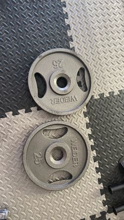 25lb steel plate 2 pair