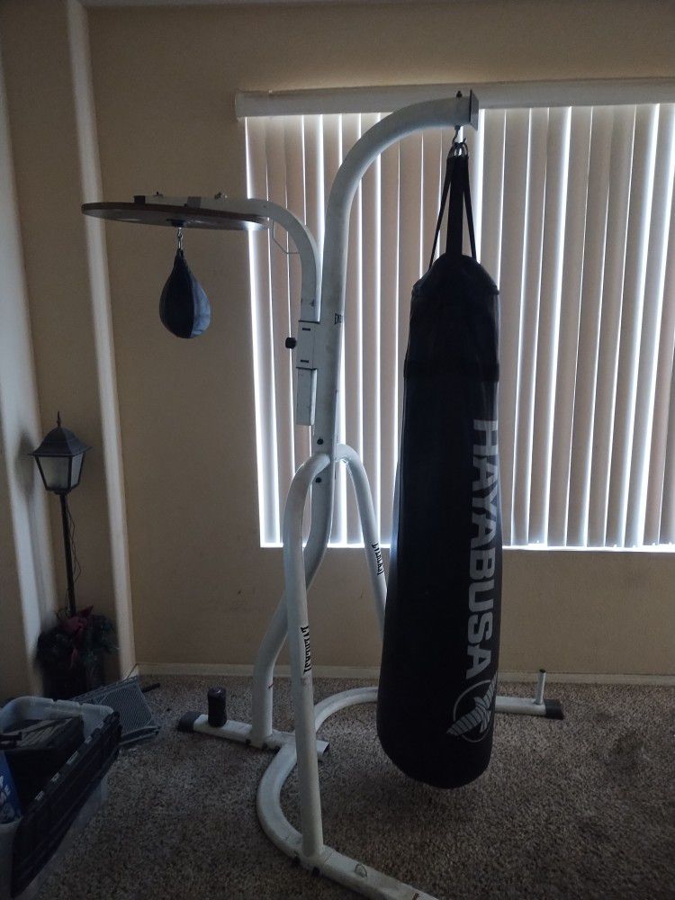 Punching Bag And Speed Bag 2 in 1