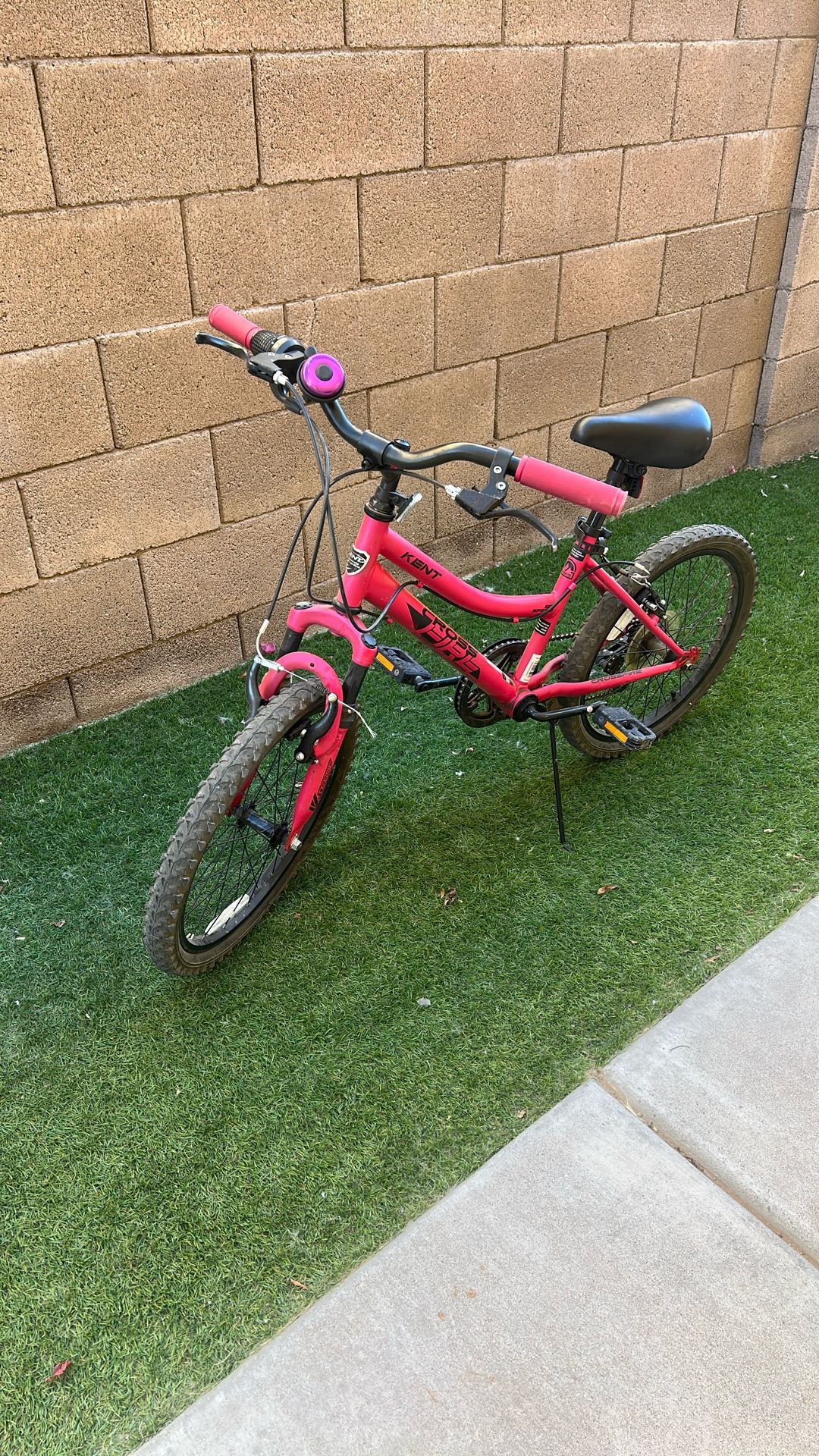 Girl Bike 20”