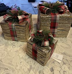 3 Piece Christmas Decor Set / Lights Up