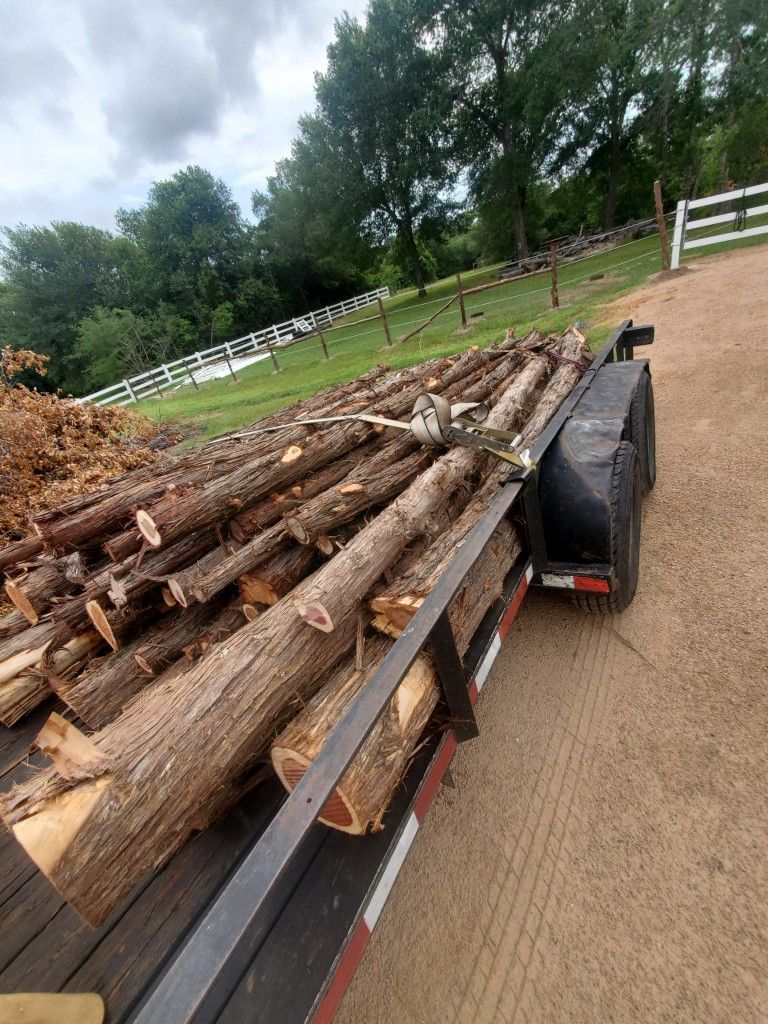 CEDAR STAVES ,LOGS,PALAPA,FENCE