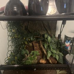Terrarium/Reptile Tank