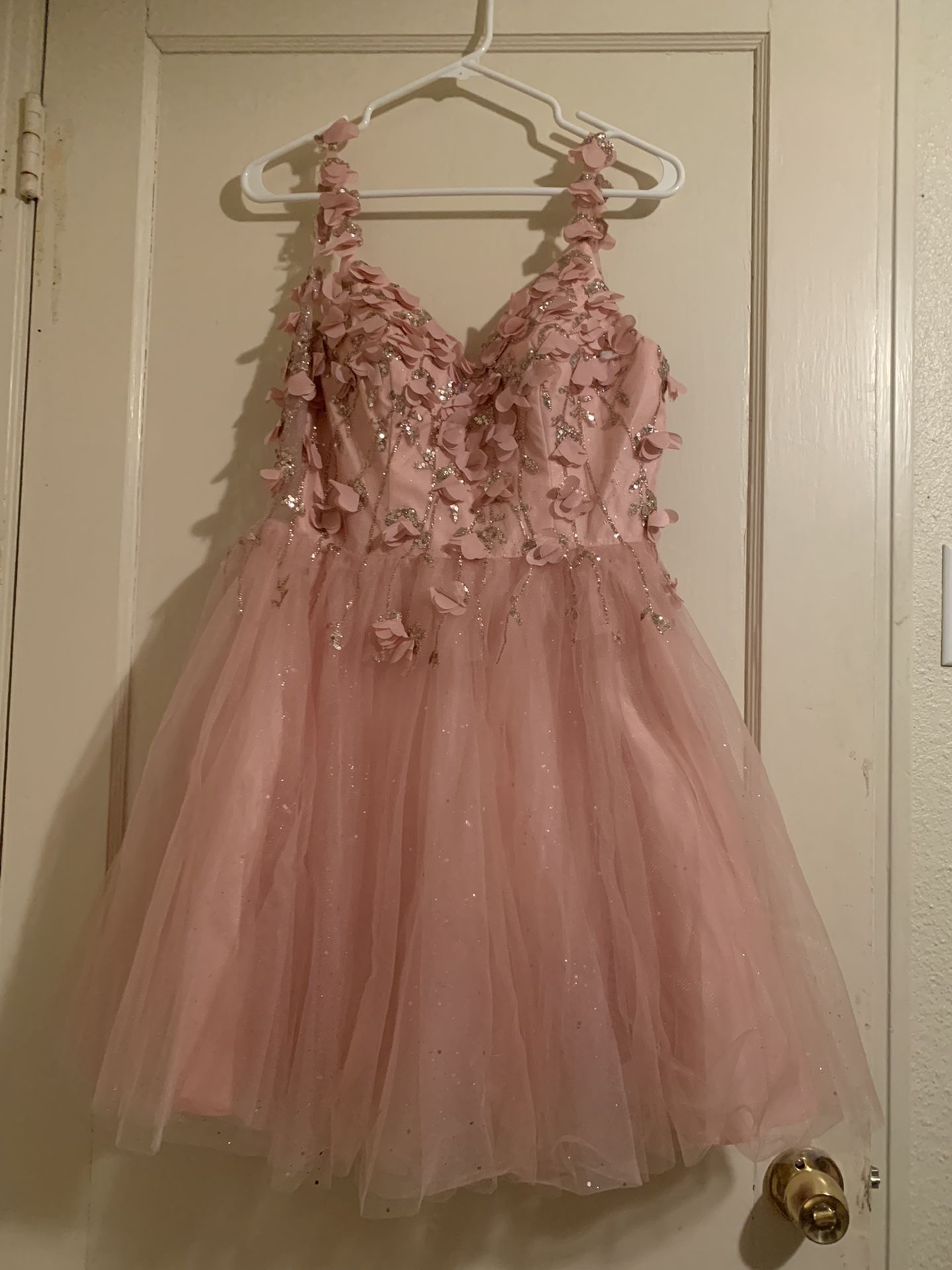 Pink Blush  Dress