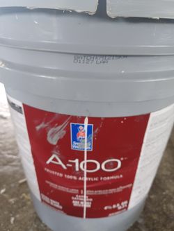 5 Gallons Exterior Satin Light Gray Paint 