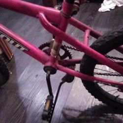 BMX Dyno 20-in